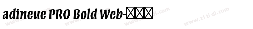 adineue PRO Bold Web字体转换